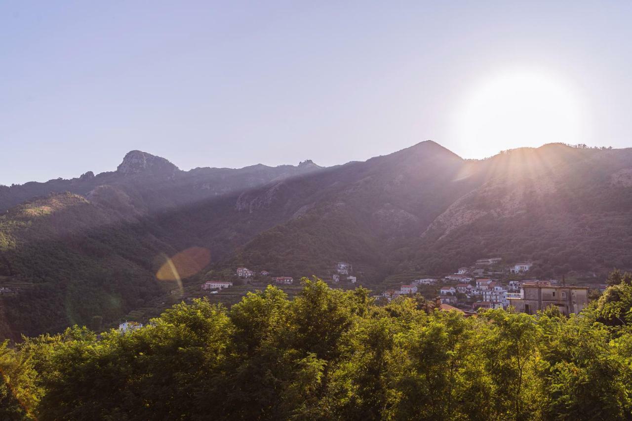 Tra I Monti Bed & Breakfast Tramonti Bagian luar foto